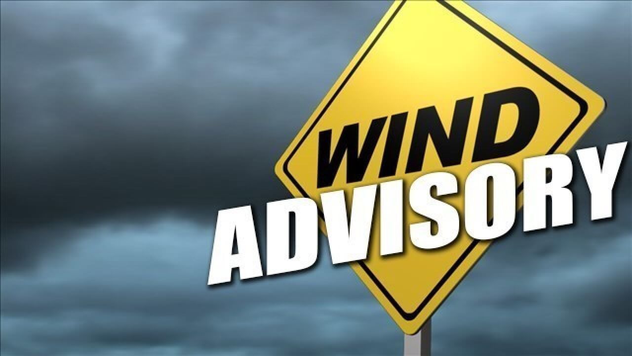 Wind advisory in Alcorn County could lead to power outages