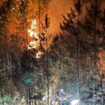Firefighters fight 178 acre fire in Alcorn County as wildfires continue across state