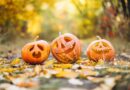 Spooky Season in NE Mississippi; Find your Fun & Fright Here