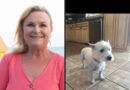 Alcorn County Woman Reported Missing