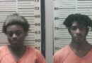 Teen Sentenced to 25 Years for Role in Mother’s Murder