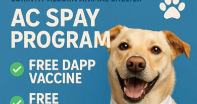 Corinth-Alcorn Animal Shelter Launches Expanded Spay and Neuter Program with Free Vaccines and Microchipping