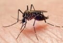 First West Nile Virus Death of 2025 Reported in Mississippi