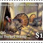 Mississippi Wild Turkey Stamp now available for 2026 spring season The Mississippi Wild Turkey Stamp is live for purchase!