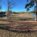 Percy Quin State Park boat ramp reopens after flooding cleanup Photos from Mississippi Department of Wildlife, Fisheries, and Parks's post