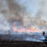 Mississippi wildlife officials outline safety steps for prescribed burns Photos from Mississippi Department of Wildlife, Fisheries, and Parks's post