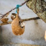 Mississippi Emergency Management Advises Seeking Shelter Amid Cold Weather Photo by ANIl KUMAR on Pexels