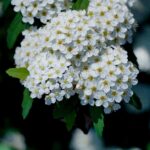 Mississippi governor offers update on winter storm response Photo by 대정 김 on Pexels