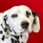 School superintendents plead guilty to embezzlement conspiracy Photo by Jools Magools on Pexels