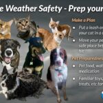 Pet safety tips during severe weather When severe weather strikes, don't forget about your beloved pets!