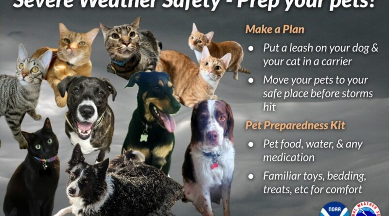 Pet safety tips during severe weather When severe weather strikes, don't forget about your beloved pets!