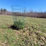 Mississippi wildlife officials highlight habitat challenges and management tips Photos from Mississippi Department of Wildlife, Fisheries, and Parks's post