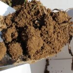 Mississippi wildlife officials emphasize importance of soil testing for food plots Photos from Mississippi Department of Wildlife, Fisheries, and Parks's post