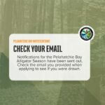 Pelahatchie Bay alligator season notifications sent out Notifications for the Pelahatchie Bay Alligator Season have been sent out