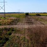 Dove field planting season underway, experts advise preparation The time for planting your dove fields is arriving fast!