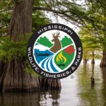 Turkey Season 2026: What Hunters Need to Know Turkey Season Q&A