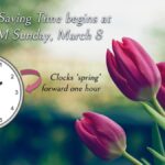 Clocks to Spring Forward for Daylight Saving Time Don't forget!
