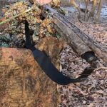 Young Hunter Experiences First Successful Turkey Hunt in Mississippi There’s nothing quite like watching a young hunter experience their first turkey hunt