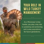 Mississippi turkey hunters play key role in wild turkey conservation This #TurkeyTuesday, we’re talking about the vital role Mississippi turkey hunters play in sustainin