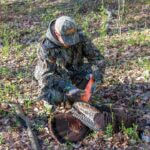 Mississippi turkey season underway, hunters encouraged to follow regulations Turkey Season is in full swing!