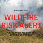 Mississippi faces heightened wildfire risk this weekend, weather service warns The National Weather Service in Jackson has issued an elevated fire danger risk for Saturday
