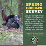 Join the Spring Gobbler Hunter Survey to Aid Turkey Conservation This #TurkeyTuesday, We're Calling All Turkey Hunters!