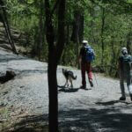 Mississippi encourages outdoor strolls on Take a Walk in a Park Day Photos from Mississippi Department of Wildlife, Fisheries, and Parks's post