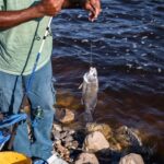 Mississippi Fish Guide Helps Anglers Identify Common Species Need help identifying your catch?