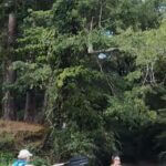 Mississippi Paddle Mafia builds community through water adventures Watch How Mississippi's Paddle Mafia Built a Paddling Community from the Ground Up