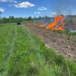 Experts say growing season burns benefit wildlife habitats Think fire is just for winter?
