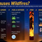 US Weather Service Warns of Fire Weather Risks in Memphis Area Photos from US National Weather Service Memphis Tennessee's post