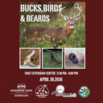 Mississippi hosts wildlife management event with MSU experts Join us for Bucks, Birds, & Beards!