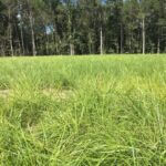 Wild turkey management tips extend beyond hunting season Turkey season may be nearing its close, but that doesn't mean you should stop managing your property