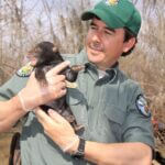 Mississippi’s Black Bear Population Bounces Back After Decades of Conservation Photos from Mississippi Department of Wildlife, Fisheries, and Parks's post