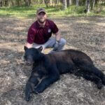 Bear Week 2026 kicks off with conservation efforts spotlight Bear Week 2026 starts now!