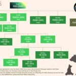 MDWFP's Black Bear Program Has Been Tracking Bears for Over 20 Years Did you know MDWFP's Black Bear Program has been collecting data on bears for over 20 years?