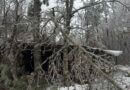 Individual Disaster Assistance Approved for Alcorn County Following January Winter Storm