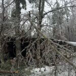 Individual Disaster Assistance Approved for Alcorn County Following January Winter Storm 7e956342-d0c0-4c8b-a075-c01d7433b6e9