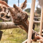 Northeast Student Newspaper Highlights Campus Events and Achievements Photo by Willians Huerta on Pexels