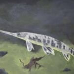 Mississippi announces winners of Art of Conservation Fish Art and Essay Competition Photos from Mississippi Department of Wildlife, Fisheries, and Parks's post