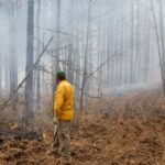 Mississippi's 'Fire on the Forty' Program Opens Applications for 2026 Photos from Mississippi Department of Wildlife, Fisheries, and Parks's post