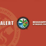 Boat access at two Mississippi state parks limited during July 3-4 celebrations Heads up, boaters and anglers!