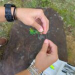 How to Tie the Palomar Knot for Stronger Fishing Lines Fish Tip of the Day: How to Tie the Palomar Knot