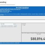 Government Launches Non-Profit Spending Dashboard for Public Access REMINDER: You can go to the Non-Profit Spending Dashboard under the "Reports" tab on our website and