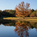 Mississippi Celebrates Great Outdoors Month with Activities and Events Photos from Mississippi Department of Wildlife, Fisheries, and Parks's post