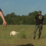 Mississippi Department of Wildlife Fisheries and Parks Showcases K-9 Unit Did you know that MDWFP has a K9 Unit Team?