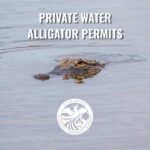 Mississippi opens private lands alligator season applications through 2026 The Public Water draw period may be over, but the Private Lands alligator season applications are st