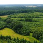 Why Habitat Diversity Is Key to Supporting Wildlife Photos from Mississippi Department of Wildlife, Fisheries, and Parks's post