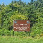 Photos from Mississippi Department of Wildlife, Fisheries, and Parks's post