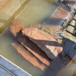 Mississippi wildlife officials rescue alligator snapping turtles from drainage Photos from Mississippi Department of Wildlife, Fisheries, and Parks's post